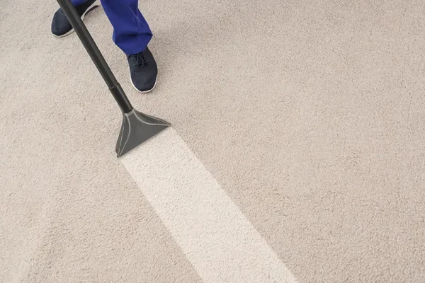 Carpet Cleaning And Detailing Services Danville Il