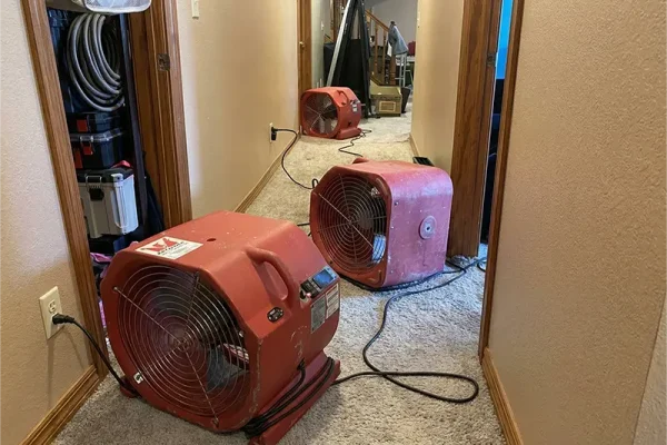 Industrial Grade Fans For Drying